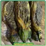 بادمجان شکم پر