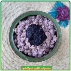 زیتون پرورده