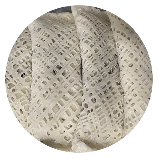 1558