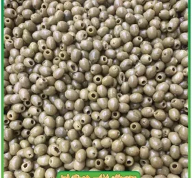 زیتون کنسروی بدون هسته