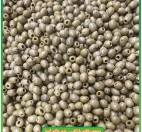 زیتون کنسروی بدون هسته